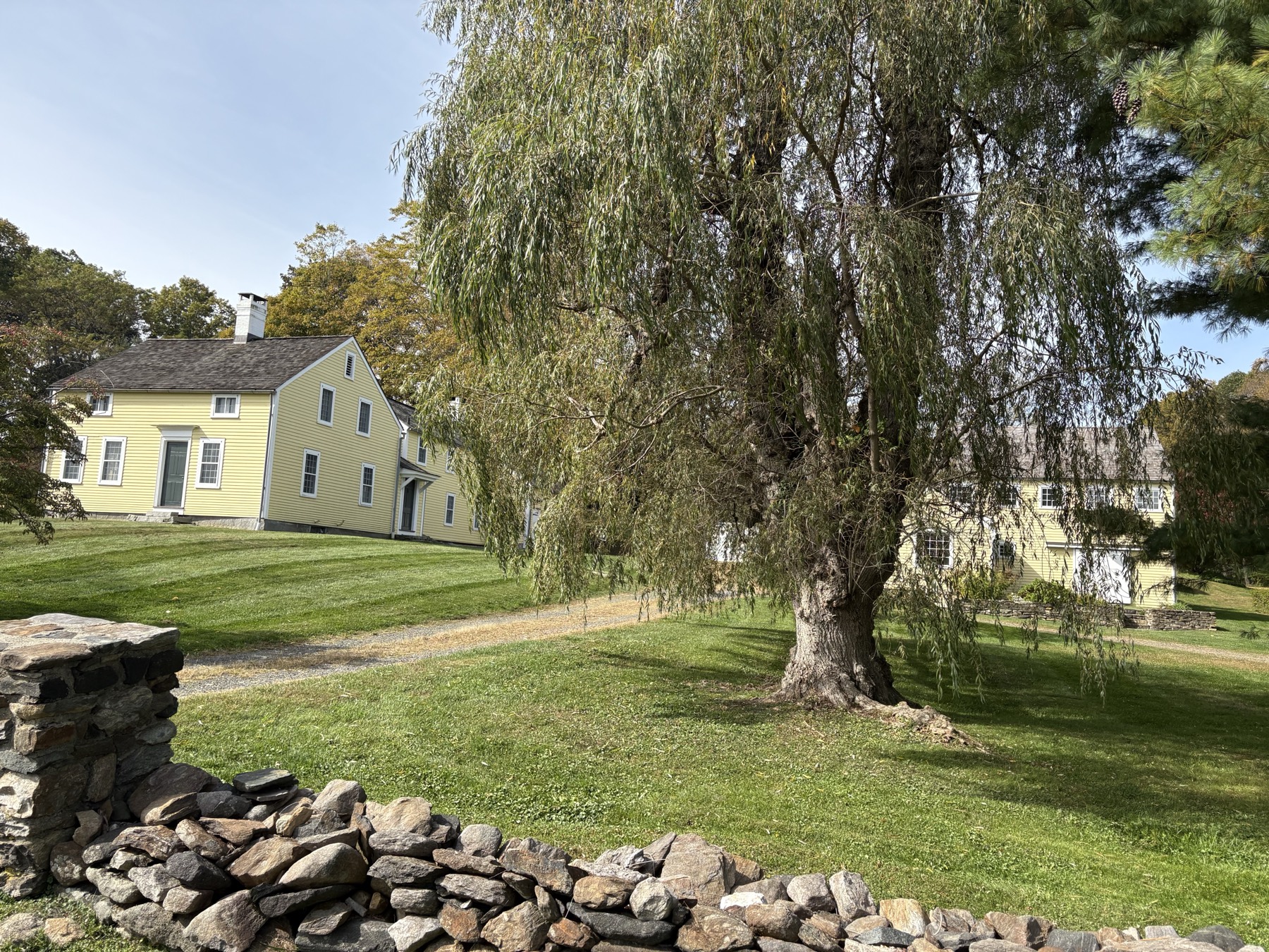 The farmhouse and its willow above the stone wall