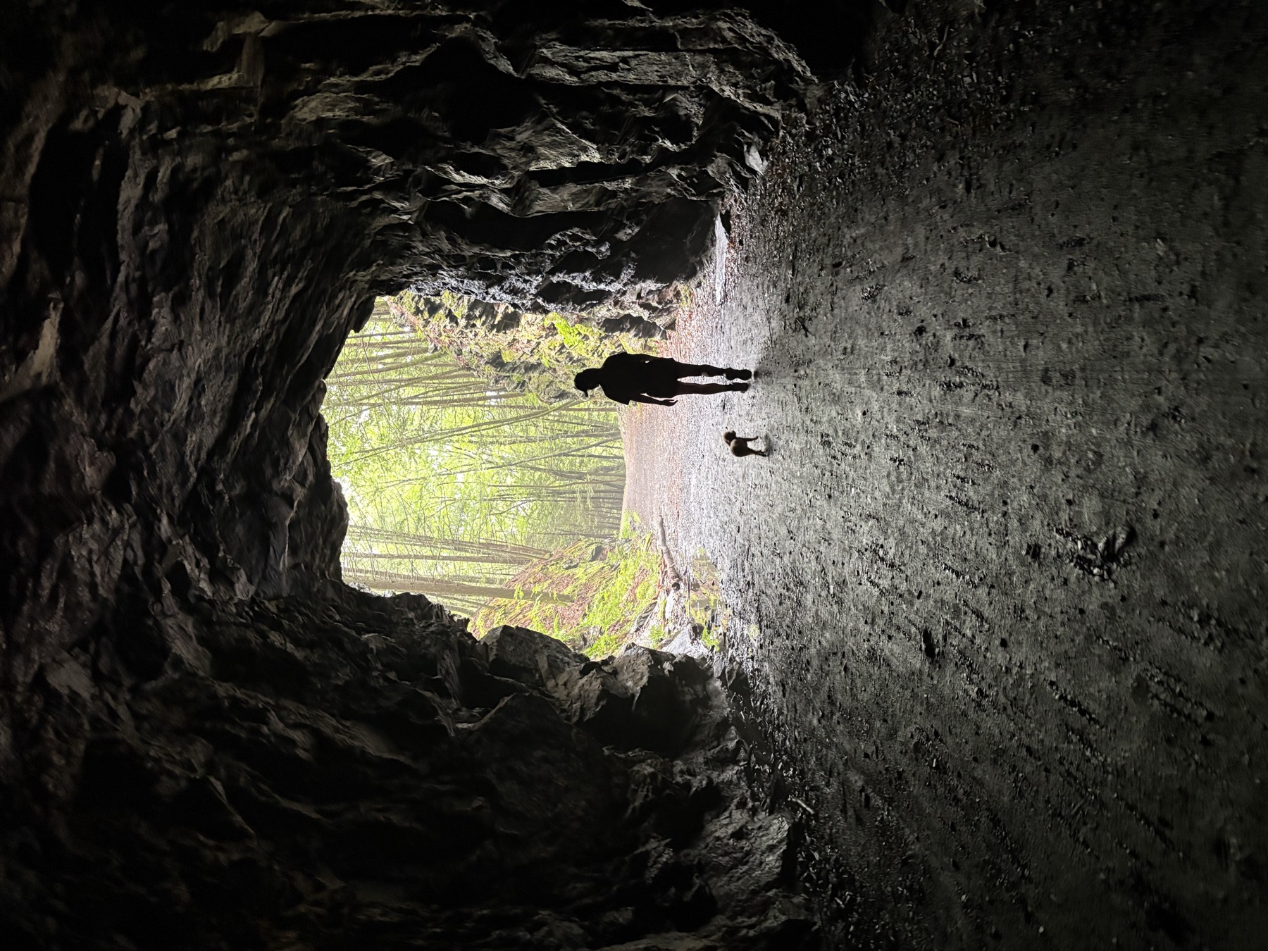 A walker and dog silhouetted in the Steep Rock tunnel